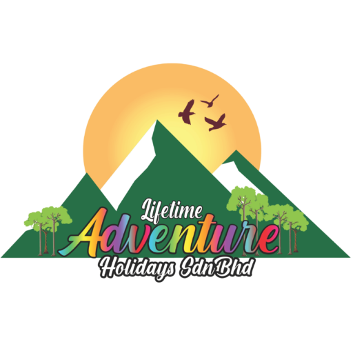 lifetimeadventureholiday.com